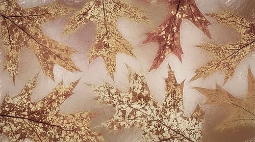 Washington State-Seabeck Fall oak Leaves Nature Print